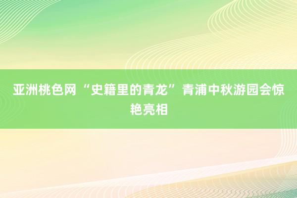 亚洲桃色网 “史籍里的青龙” 青浦中秋游园会惊艳亮相