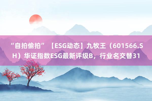 “自拍偷拍” 【ESG动态】九牧王（601566.SH）华证指数ESG最新评级B，行业名交替31