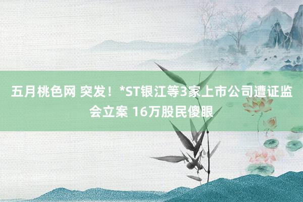 五月桃色网 突发！*ST银江等3家上市公司遭证监会立案 16万股民傻眼