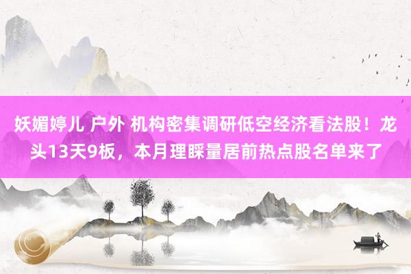 妖媚婷儿 户外 机构密集调研低空经济看法股！龙头13天9板，本月理睬量居前热点股名单来了