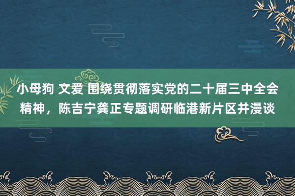 小母狗 文爱 围绕贯彻落实党的二十届三中全会精神，陈吉宁龚正专题调研临港新片区并漫谈