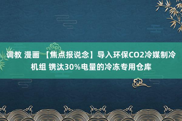 调教 漫画 【焦点报说念】导入环保CO2冷媒制冷机组 镌汰30%电量的冷冻专用仓库