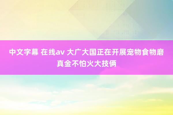 中文字幕 在线av 大广大国正在开展宠物食物磨真金不怕火大技俩