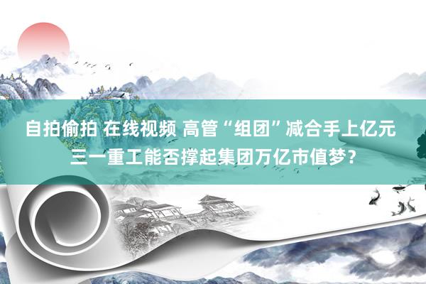 自拍偷拍 在线视频 高管“组团”减合手上亿元 三一重工能否撑起集团万亿市值梦？