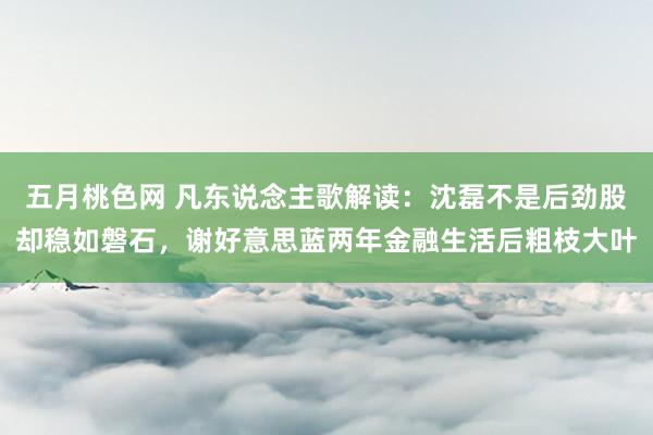 五月桃色网 凡东说念主歌解读：沈磊不是后劲股却稳如磐石，谢好意思蓝两年金融生活后粗枝大叶