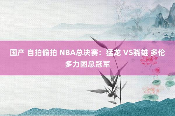 国产 自拍偷拍 NBA总决赛：猛龙 VS骁雄 多伦多力图总冠军