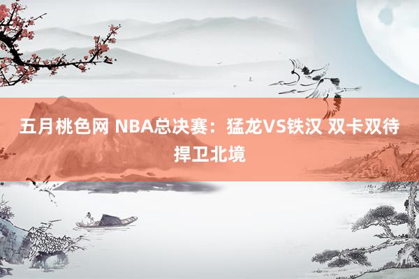 五月桃色网 NBA总决赛：猛龙VS铁汉 双卡双待捍卫北境