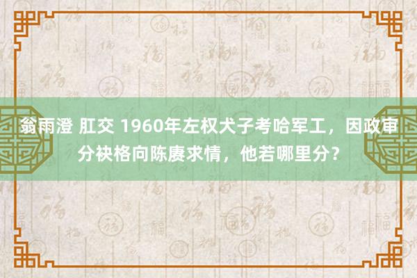 翁雨澄 肛交 1960年左权犬子考哈军工，因政审分袂格向陈赓求情，他若哪里分？