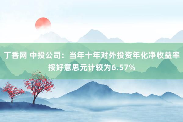 丁香网 中投公司：当年十年对外投资年化净收益率按好意思元计较为6.57%