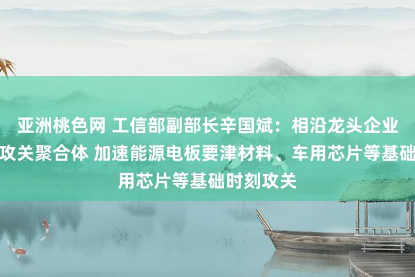 亚洲桃色网 工信部副部长辛国斌：相沿龙头企业牵头建树攻关聚合体 加速能源电板要津材料、车用芯片等基础时刻攻关