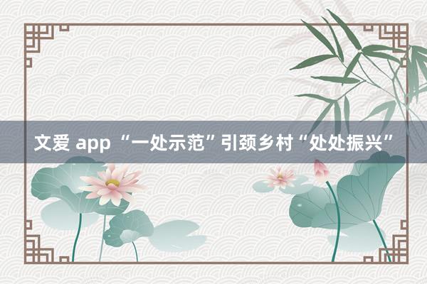 文爱 app “一处示范”引颈乡村“处处振兴”