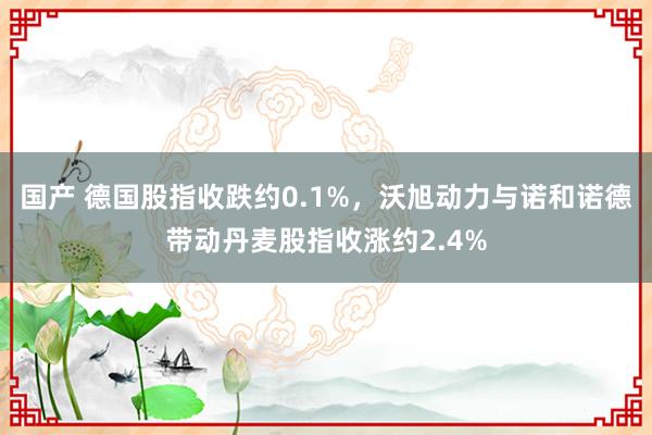 国产 德国股指收跌约0.1%，沃旭动力与诺和诺德带动丹麦股指收涨约2.4%