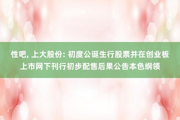 性吧， 上大股份: 初度公诞生行股票并在创业板上市网下刊行初步配售后果公告本色纲领