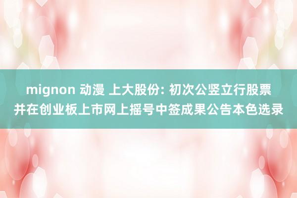 mignon 动漫 上大股份: 初次公竖立行股票并在创业板上市网上摇号中签成果公告本色选录