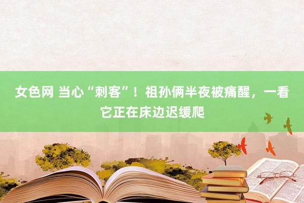 女色网 当心“刺客”！祖孙俩半夜被痛醒，一看它正在床边迟缓爬