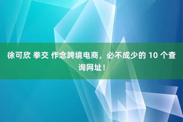 徐可欣 拳交 作念跨境电商，必不成少的 10 个查询网址！