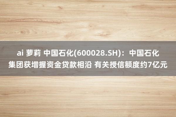 ai 萝莉 中国石化(600028.SH)：中国石化集团获增握资金贷款相沿 有关授信额度约7亿元