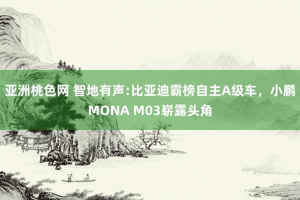 亚洲桃色网 智地有声:比亚迪霸榜自主A级车，小鹏MONA M03崭露头角