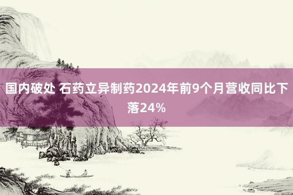 国内破处 石药立异制药2024年前9个月营收同比下落24%