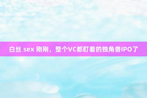 白丝 sex 刚刚，整个VC都盯着的独角兽IPO了