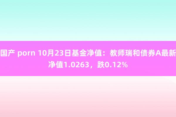 国产 porn 10月23日基金净值：教师瑞和债券A最新净值1.0263，跌0.12%