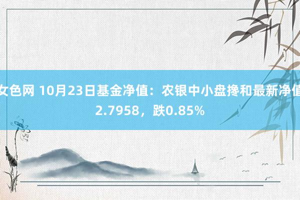 女色网 10月23日基金净值：农银中小盘搀和最新净值2.7958，跌0.85%