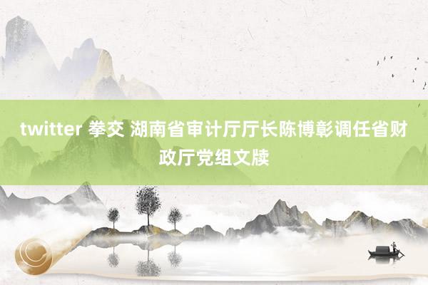 twitter 拳交 湖南省审计厅厅长陈博彰调任省财政厅党组文牍