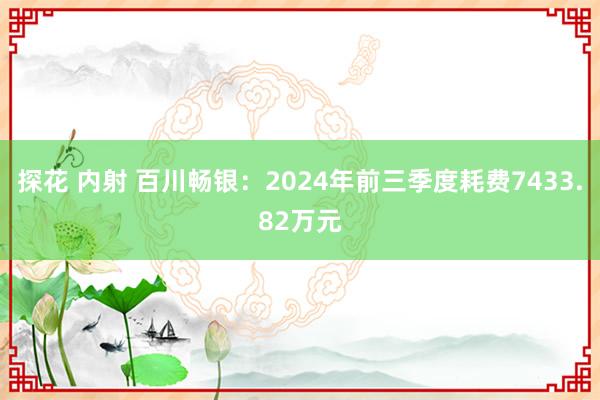 探花 内射 百川畅银：2024年前三季度耗费7433.82万元