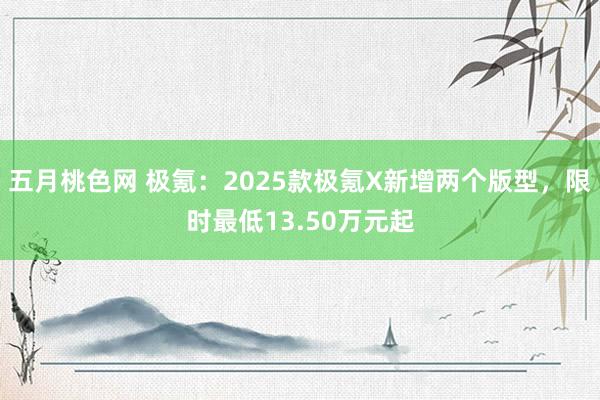 五月桃色网 极氪：2025款极氪X新增两个版型，限时最低13.50万元起