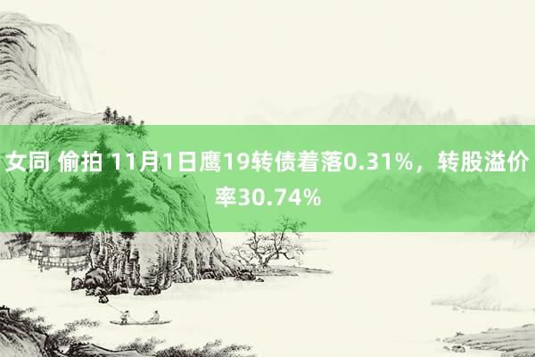 女同 偷拍 11月1日鹰19转债着落0.31%，转股溢价率30.74%