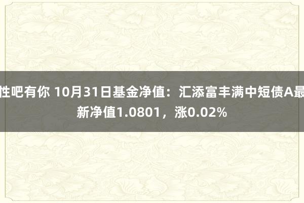 性吧有你 10月31日基金净值：汇添富丰满中短债A最新净值1.0801，涨0.02%