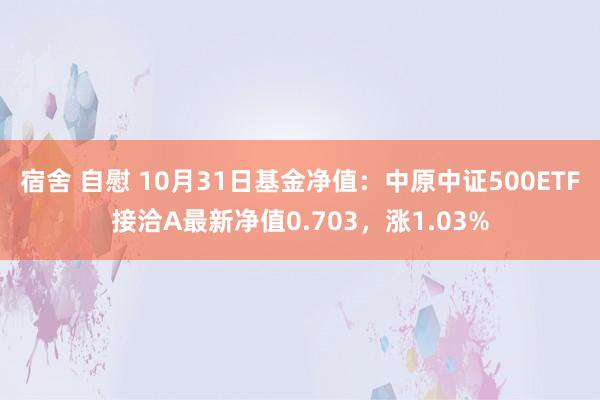 宿舍 自慰 10月31日基金净值：中原中证500ETF接洽A最新净值0.703，涨1.03%