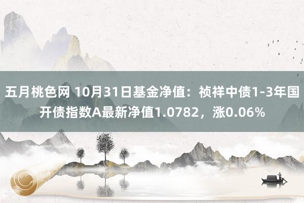 五月桃色网 10月31日基金净值：祯祥中债1-3年国开债指数A最新净值1.0782，涨0.06%