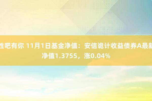 性吧有你 11月1日基金净值：安信诡计收益债券A最新净值1.3755，涨0.04%