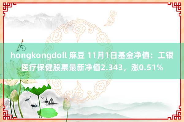 hongkongdoll 麻豆 11月1日基金净值：工银医疗保健股票最新净值2.343，涨0.51%