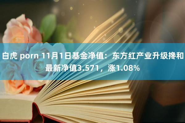 白虎 porn 11月1日基金净值：东方红产业升级搀和最新净值3.571，涨1.08%