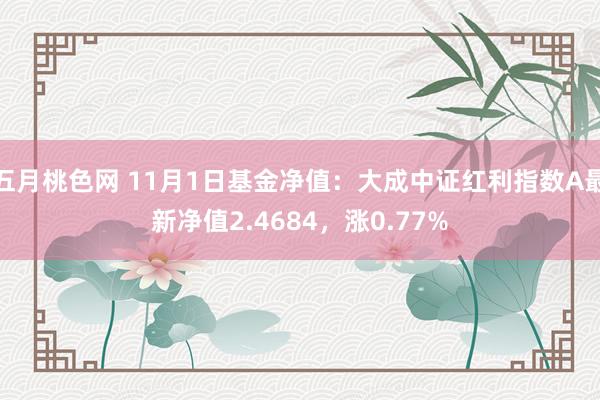 五月桃色网 11月1日基金净值：大成中证红利指数A最新净值2.4684，涨0.77%