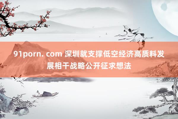 91porn. com 深圳就支撑低空经济高质料发展相干战略公开征求想法