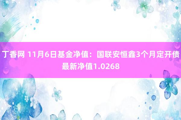 丁香网 11月6日基金净值：国联安恒鑫3个月定开债最新净值1.0268