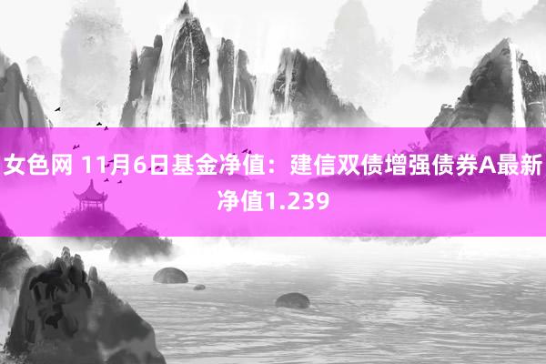 女色网 11月6日基金净值：建信双债增强债券A最新净值1.239