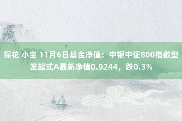 探花 小宝 11月6日基金净值：中银中证800指数型发起式A最新净值0.9244，跌0.3%