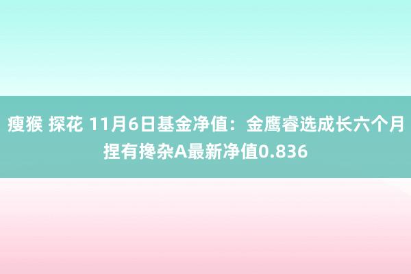 瘦猴 探花 11月6日基金净值：金鹰睿选成长六个月捏有搀杂A最新净值0.836